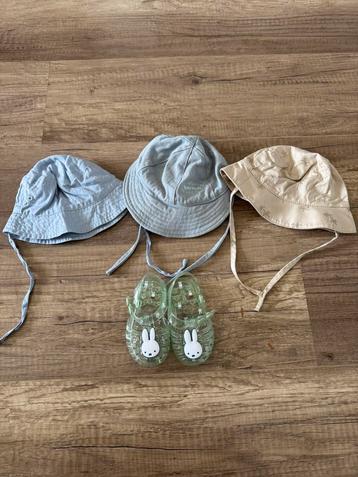 Zonnehoedjes baby beschikbaar voor biedingen