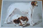voor het kind - honden - Barzoi en Pekinees - 1973 - nieuw, Verzenden, 1960 tot 1980, Ongelopen, Hond of Kat
