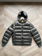 Parajumper winterjas Pharrell maat M origineel, Kleding | Heren, Jassen | Winter, Ophalen of Verzenden, Zo goed als nieuw, Maat 48/50 (M)