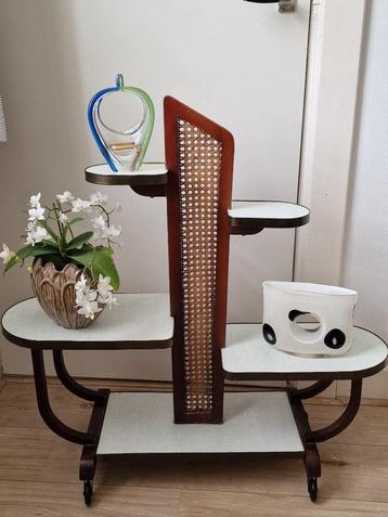plantentafel (klassieker uit de jaren 50) beschikbaar voor biedingen