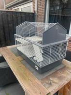 Kunstof konijnenhok voor binnen, Dieren en Toebehoren, Kooi, Gebruikt, Minder dan 75 cm, Konijn