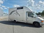 Iveco Daily paardentruck 1999, 4 cilinders, Iveco, Origineel Nederlands, 2720 kg