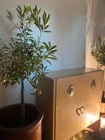 Stoer Vintage Hang Kastje, Ophalen