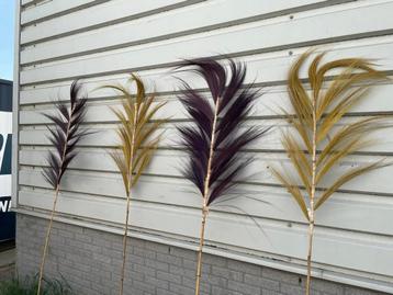 Bamboe decoratie met veren p/s beschikbaar voor biedingen