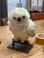 Harry Potter Uil, Verzamelen, Ophalen of Verzenden, Zo goed als nieuw, Overige typen