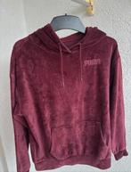 Puma hoodie maat XS bordeaux, Ophalen of Verzenden, Gedragen, Maat 34 (XS) of kleiner, Rood