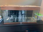 Hamsterkooi/aquarium, Ophalen, Gebruikt, Terrarium of Paludarium