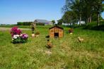 Trespa Kippenhok / Chalet L - Cucciolotta, Ophalen of Verzenden, Nieuw, Kippenhok of Kippenren