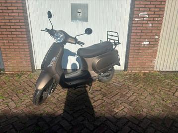 La Souris Sourini beschikbaar voor biedingen