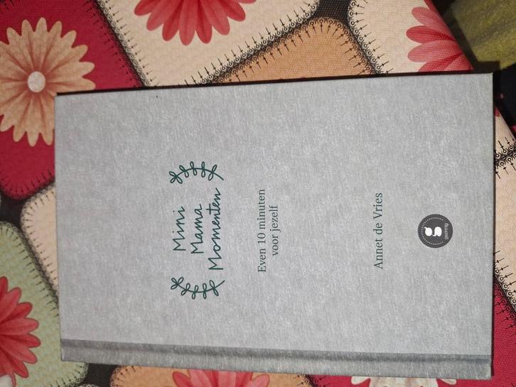 Annet de Vries - Mini Mama momenten, Boeken, Overige Boeken, Nieuw, Ophalen of Verzenden