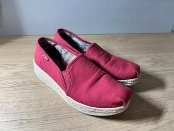 Bobs x Skechers Instappers Rood Maat 38 beschikbaar voor biedingen
