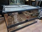 Exo terra Terrarium 60x45x30 met achterwand!, Dieren en Toebehoren, Ophalen, Gebruikt