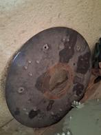 Borstelplaat lm trac nimos conver  voor borstelmachine, Ophalen