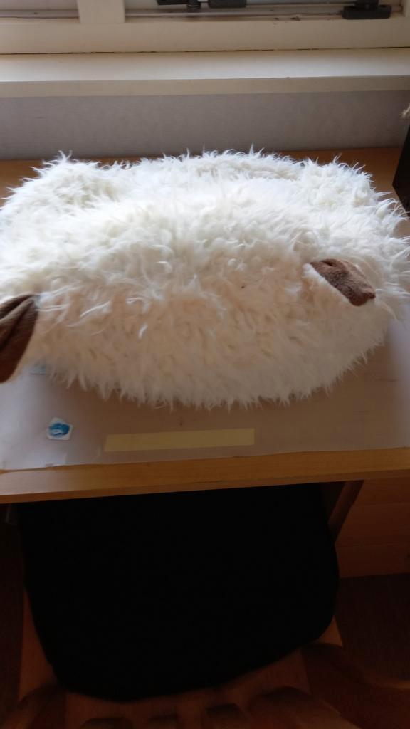 1 kattenmandje in het creme-wit, Dieren en Toebehoren, Kattenmanden, Nieuw, Pluche, Ophalen