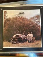 America, Ophalen of Verzenden, Zo goed als nieuw, 12 inch, Poprock