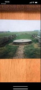 Texel 1994 Foto's - Berkestein, Gebruikt, 1980 tot heden, Foto, Ophalen of Verzenden