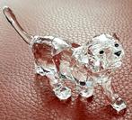 Swarovski leeuwenwelp nieuw, Verzamelen, Swarovski, Ophalen of Verzenden, Nieuw