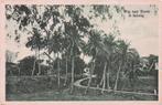 Nederlands Indië Sabang - De weg naar boven, Ophalen of Verzenden, Voor 1920, Ongelopen, Buiten Europa