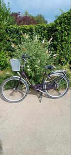 Batavus Mambo moederfiets incl. voor en achter zitje, Ophalen, 2 zitjes, 53 tot 56 cm, Batavus