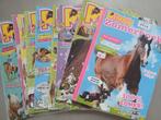 Penny zomerboek 2014 en penny's 2013 2014, Ophalen of Verzenden, Zo goed als nieuw, Overige typen