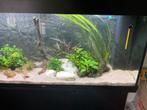 Compleet aquarium 1200 lang 50 hoog 40 diep, Ophalen of Verzenden, Zo goed als nieuw, Leeg aquarium