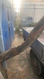 Oude spanten, Ophalen of Verzenden, Zo goed als nieuw, Minder dan 180 cm, Palen