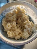 Melkkefir,  kombucha, jun, zuurdesem, Herman, Diversen, Levensmiddelen, Ophalen