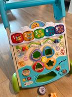 Interactieve Loopwagen - VTech, Ophalen of Verzenden, Zo goed als nieuw, Overige typen, Met geluid