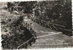 ansichtkaart Gronsveld Brug over de Sichelder Grub, Verzamelen, Ansichtkaarten | Nederland, Ophalen of Verzenden, 1940 tot 1960