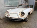 Alfa Romeo Duetto 1600 Spider carrosserie restauratie projec, Ophalen, Alfa Romeo, Bumper, Alfa Romeo