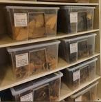 Ikea Samla met deksel 45 ltr, Doe-het-zelf en Verbouw, Kratten en Dozen, Ophalen, Minder dan 40 cm, Doos, Minder dan 35 cm