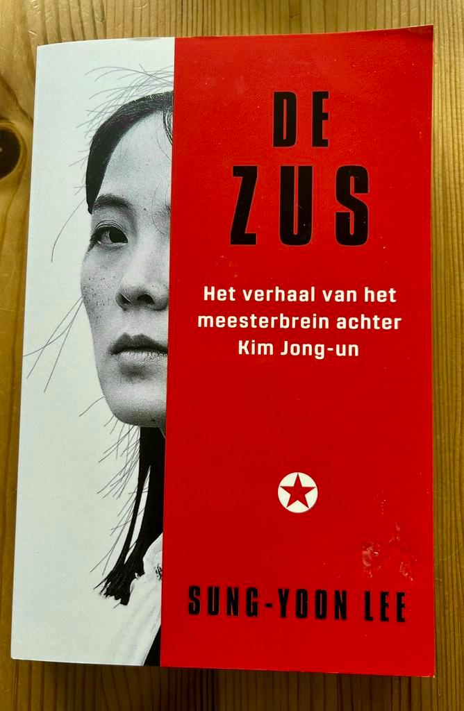 Sung-Yoon Lee - De zus, Boeken, Overige Boeken, Zo goed als nieuw, Ophalen of Verzenden