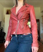 SET Leren Jasje - Donker Koraal/Burgundy - Nieuw!, SET, Nieuw, Ophalen of Verzenden, Maat 34 (XS) of kleiner