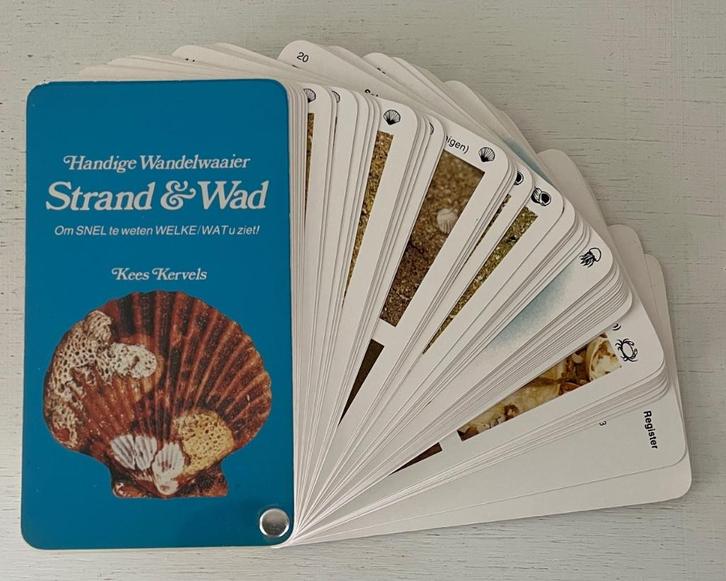 De Strand & Wad Wandelwaaier - Kees Kervels, Boeken, Natuur, Zo goed als nieuw, Ophalen of Verzenden