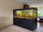 Aquarium 1400 liter (200 x 100 x 70cm) incl toebehoren, Dieren en Toebehoren, Vissen | Aquaria en Toebehoren, Ophalen, Gebruikt