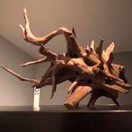 Uniek stuk Kienhout / Driftwood / Spiderwood, Hout Decoratie, Ophalen of Verzenden, Zo goed als nieuw, Plant(en), Steen of Hout