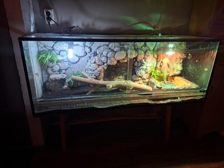 Baardagaam Terrarium