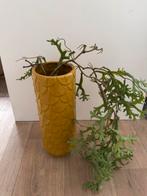 Vaas okergeel, Huis en Inrichting, Woonaccessoires | Vazen, Ophalen of Verzenden, Zo goed als nieuw, Geel, Minder dan 50 cm