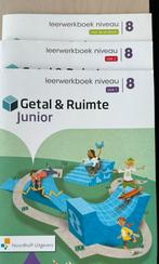 Getal en ruimte junior groep 8 niveau werkboek blok 1-2 en, Ophalen of Verzenden, Zo goed als nieuw, Overige niveaus