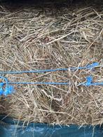 Hooi balen gewikkeld in plastic vierkante, Dieren en Toebehoren, Dierenvoeding, Ophalen of Verzenden, Vee