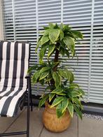 Kunstplant/Boom - 130cm - Realistisch!, Huis en Inrichting, Kamerplanten, Ophalen of Verzenden