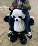 Pandabeer carnaval, Carnaval, Zo goed als nieuw, Ophalen