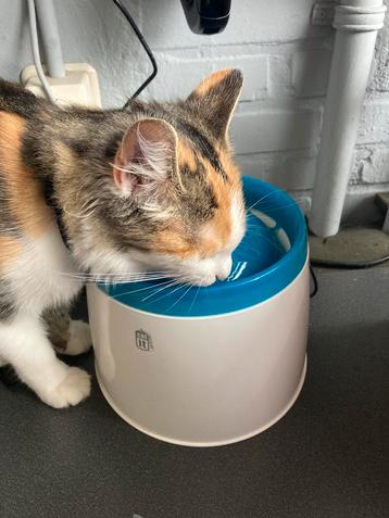 Drinkfontein voor uw huisdier in zeer goede staat beschikbaar voor biedingen