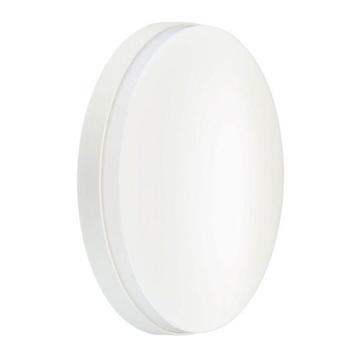 Philips Coreline Plafond/wandarmatuur 48cm Wit nieuw in doos beschikbaar voor biedingen