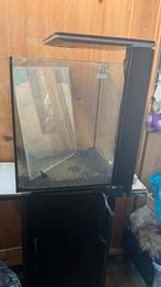 Leeg aquarium 60 liter, Dieren en Toebehoren, Ophalen, Zo goed als nieuw, Terrarium of Paludarium