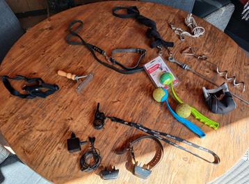 Honden  beschikbaar voor biedingen