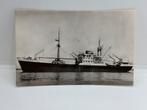 Ansichtkaart KPM type m.v. Van Cloon, Verzamelen, Scheepvaart, Ophalen of Verzenden, Nieuw, Motorboot, Kaart, Foto of Prent