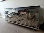 Gerbillarium 130 x 50 x 50, Dieren en Toebehoren, Ophalen, 110 cm of meer, 60 tot 90 cm, Hamster