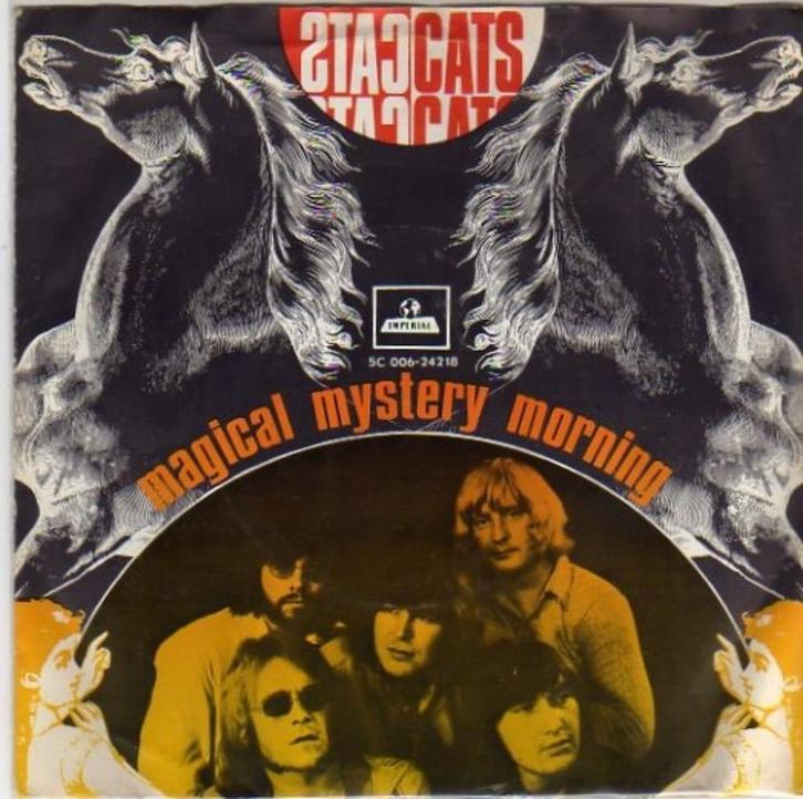 Palingpop : The Cats- Magical Mystery Morning, Cd's en Dvd's, Vinyl Singles, Gebruikt, Pop, Verzenden
