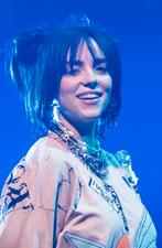 Switch billie eilish tickets 7 may, Tickets en Kaartjes, Concerten | Pop, Eén persoon